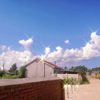 画个篮球快跑官方版下载